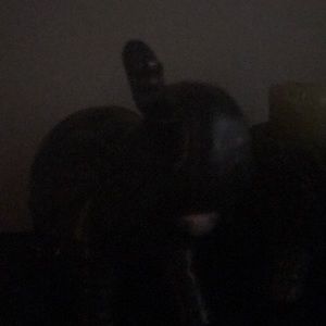 Meet your Posher, Tonya